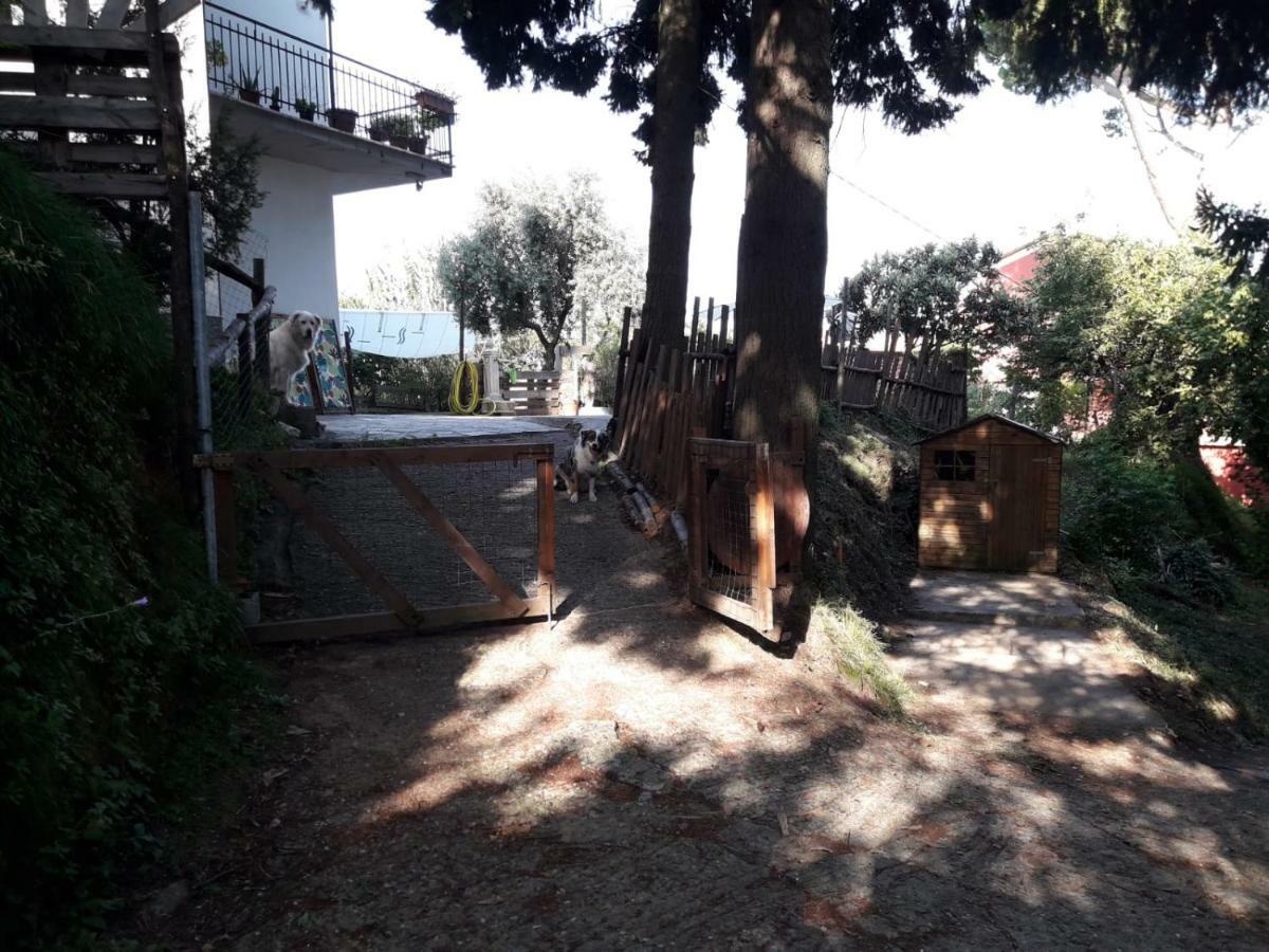 Hotel Il Giardino Del Nespolo Arcola Exteriér fotografie